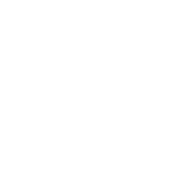 Une image blanche vierge.