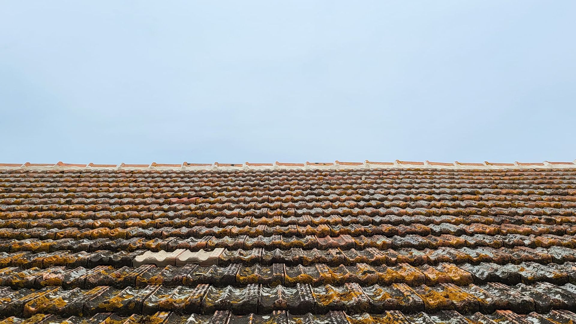 Toiture avec de la mousse