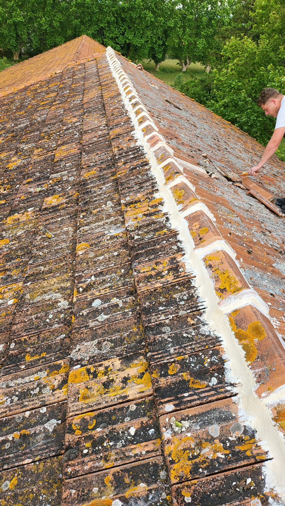 Rénovation de faîtage