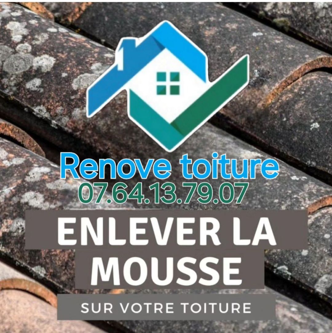 Enlever la mousse sur la toiture