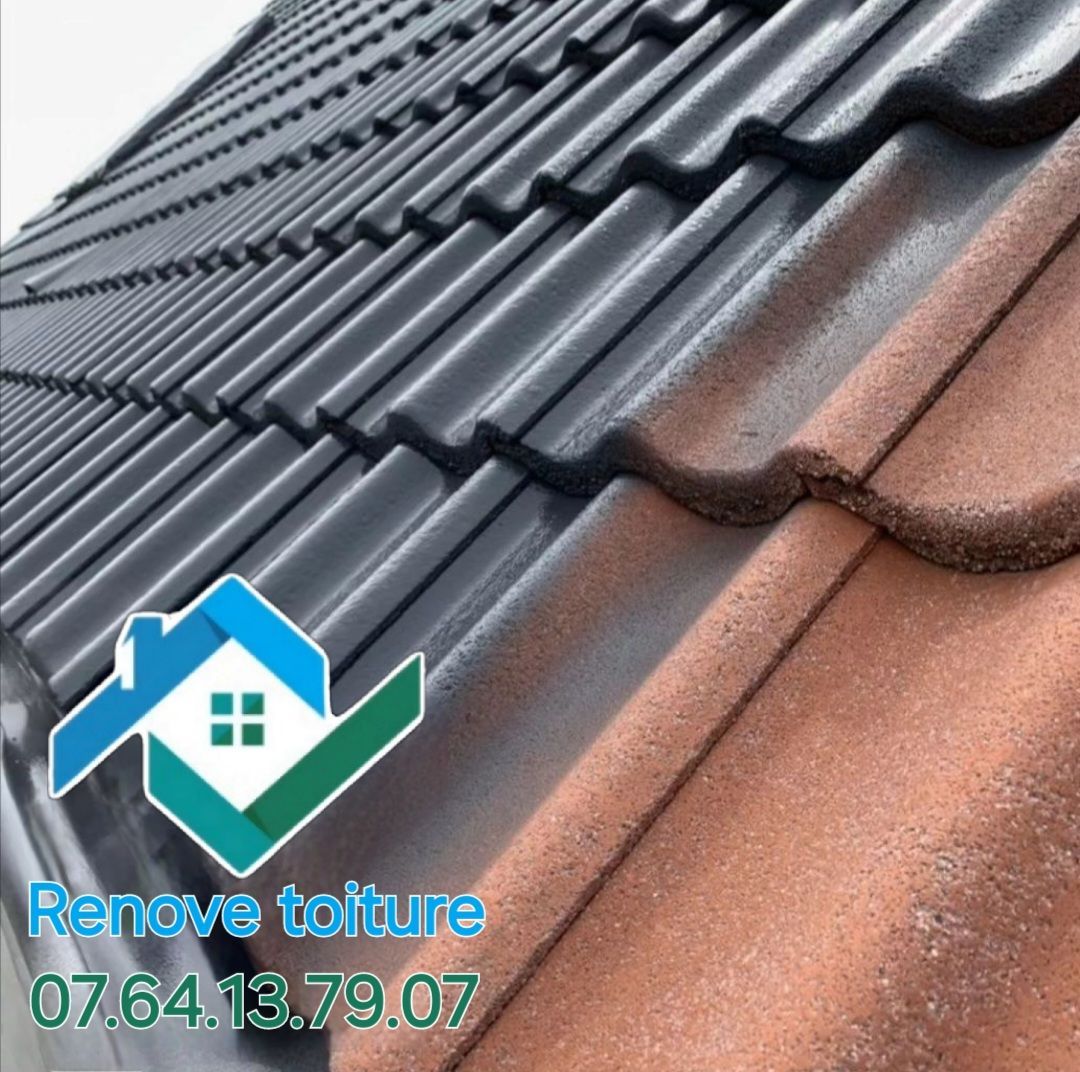 Démoussage de toit