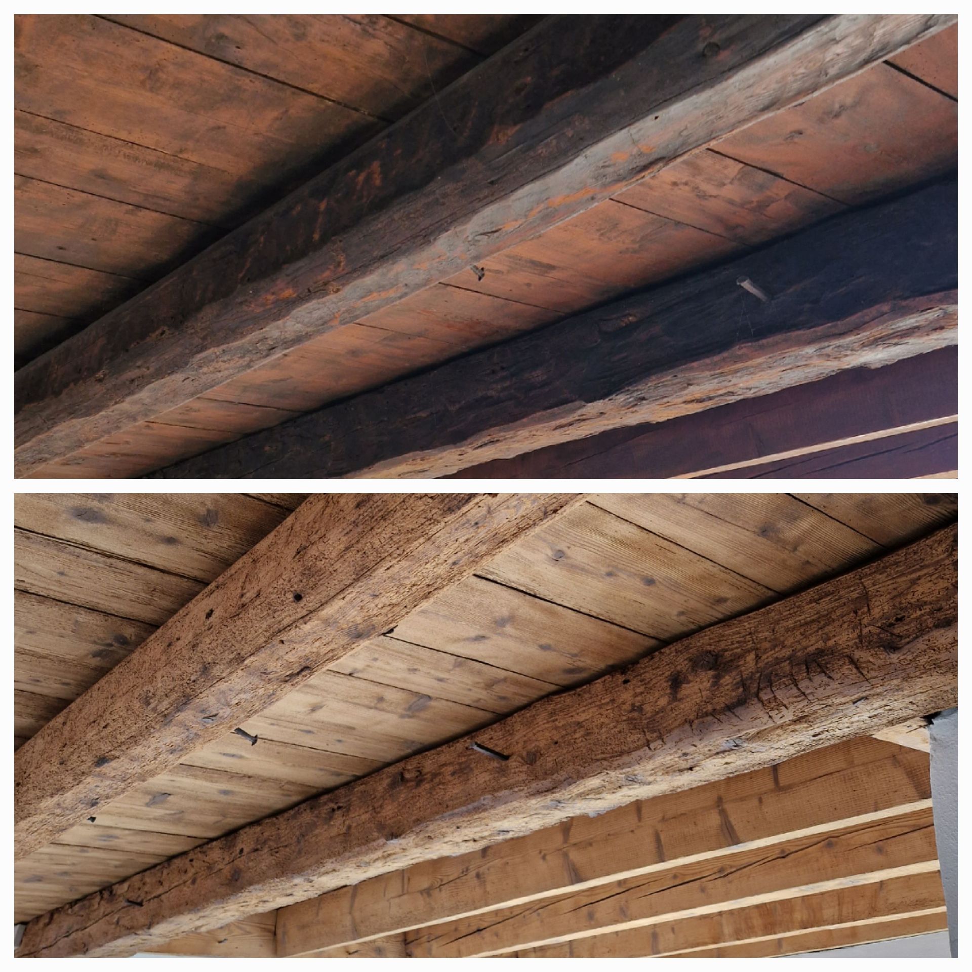 Plafond en bois