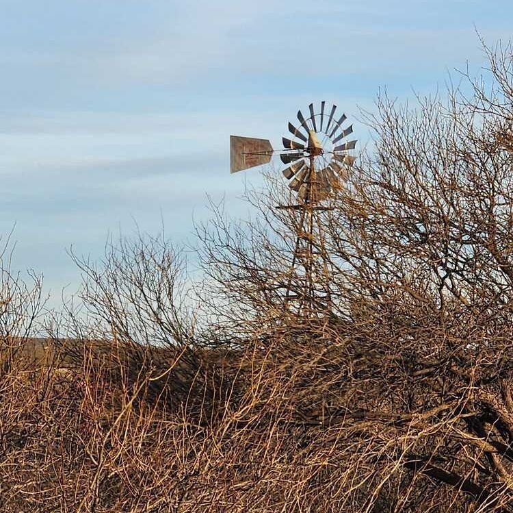 Un molino de viento en medio de un campo con árboles al fondo.