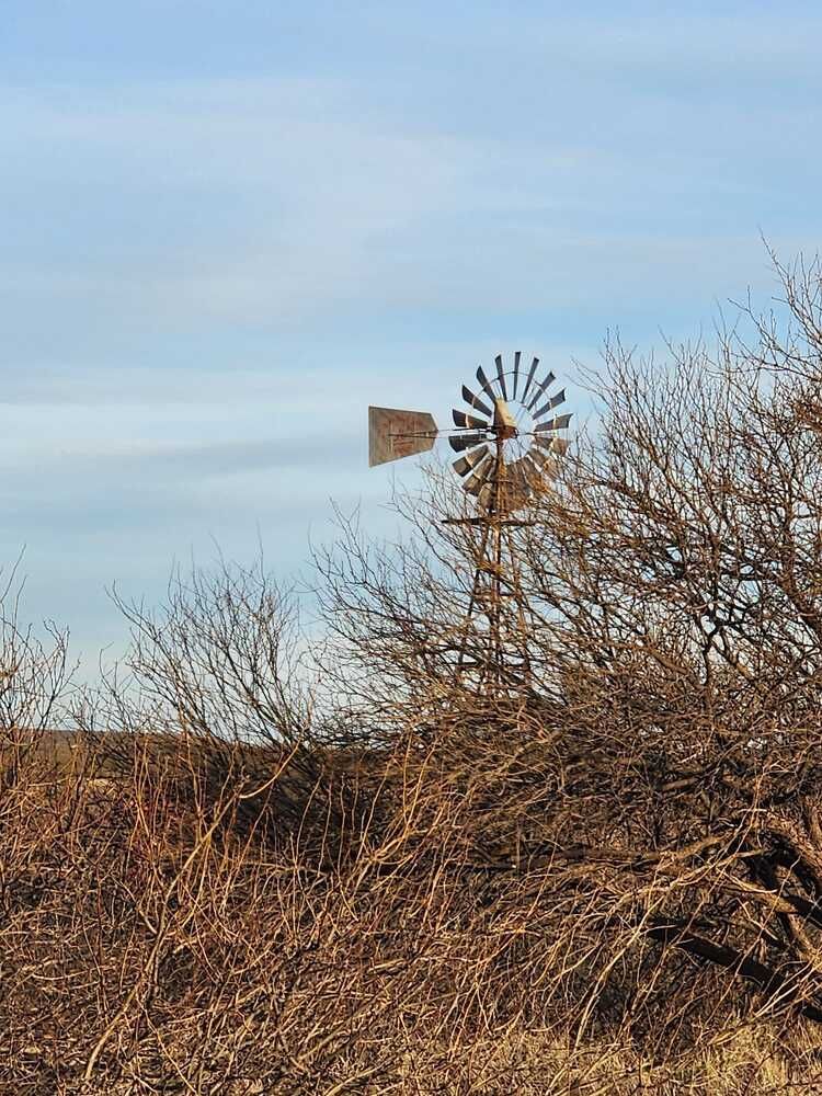 Un molino de viento está situado en el medio de un campo rodeado de árboles.