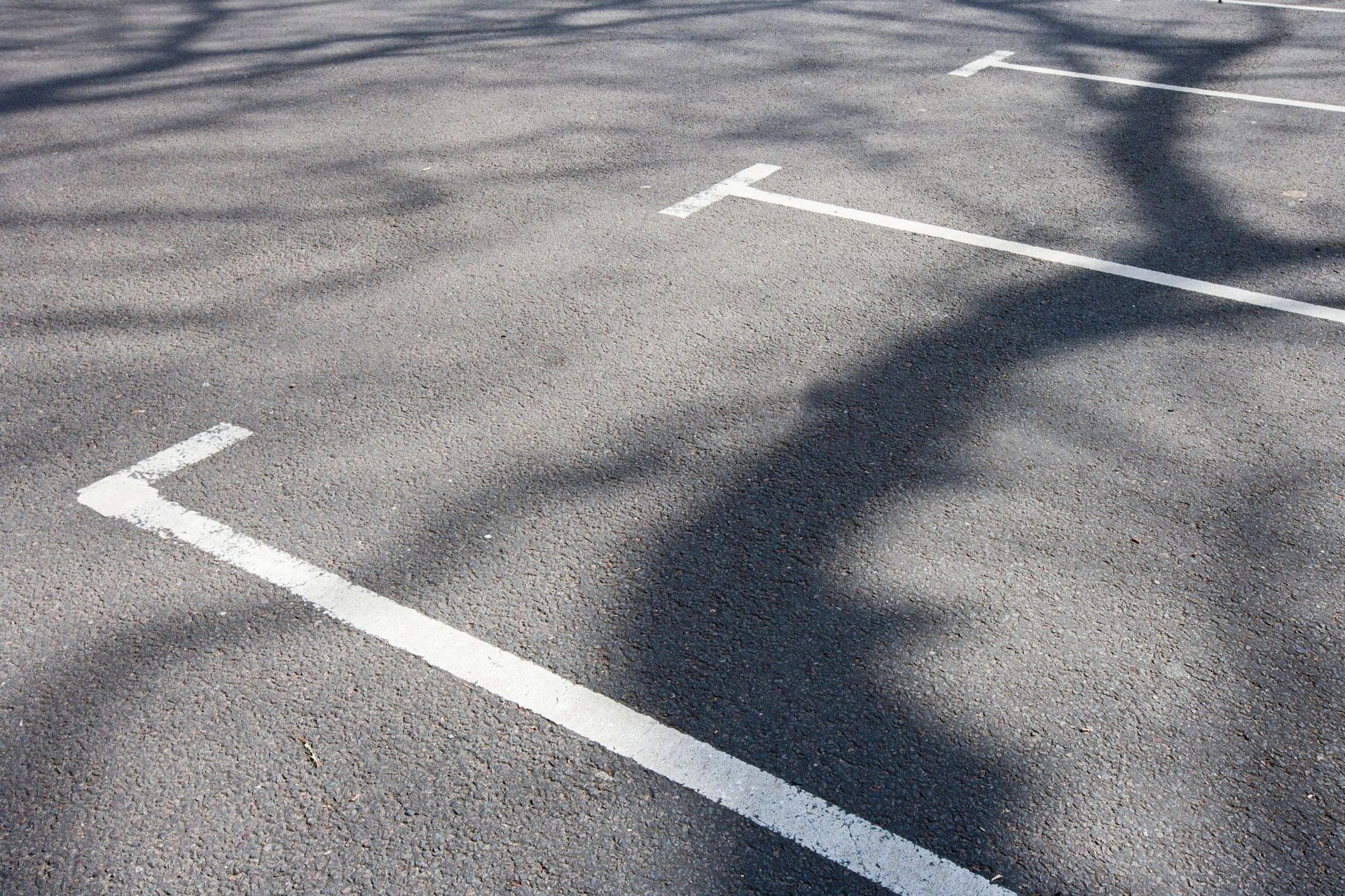 Un estacionamiento con líneas blancas y sombras de árboles.