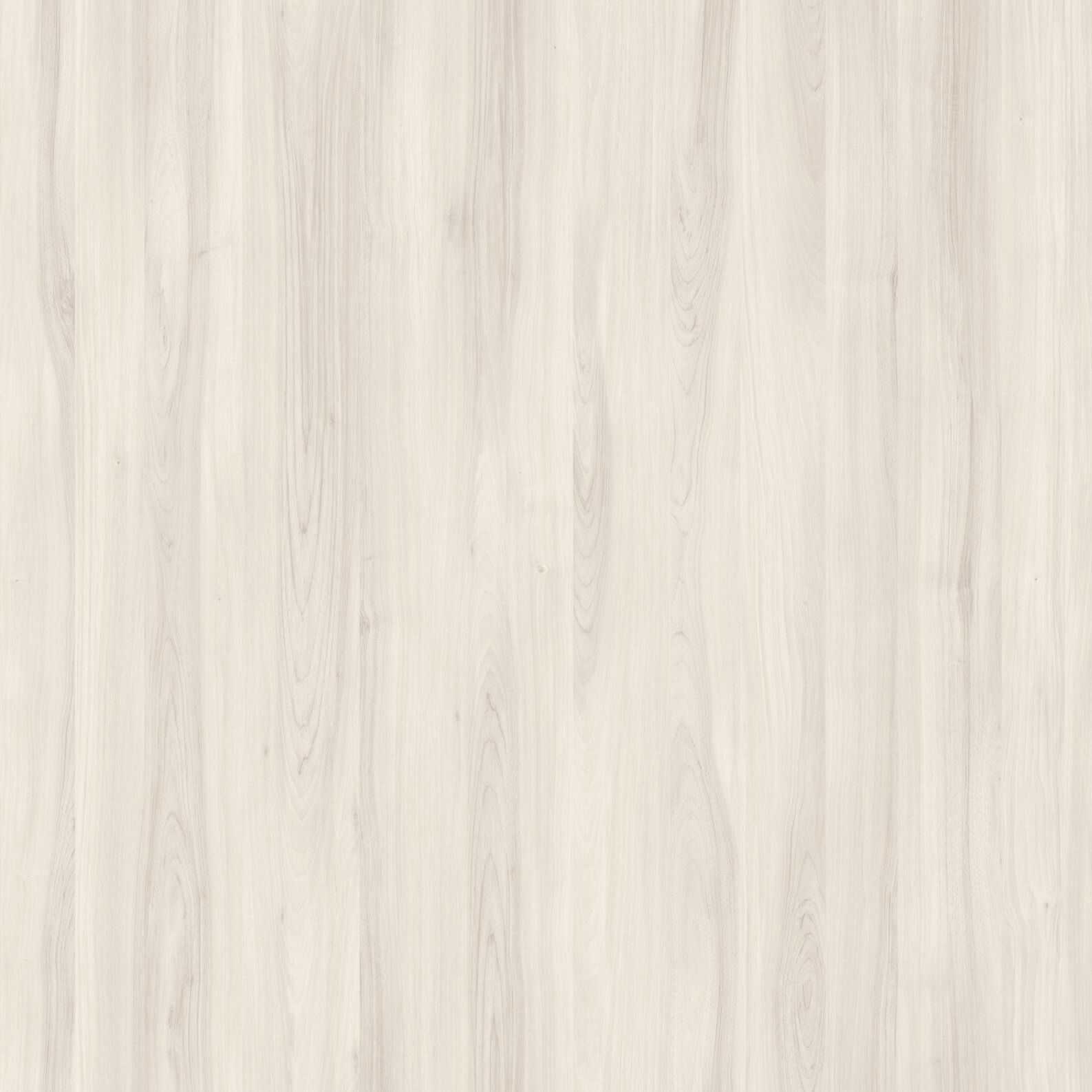 Un primer plano de una textura de veta de madera blanca.