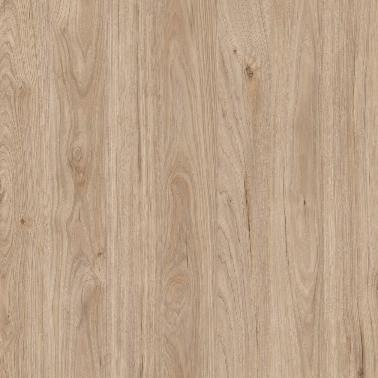 Un primer plano de un trozo de madera que muestra la textura de la madera.