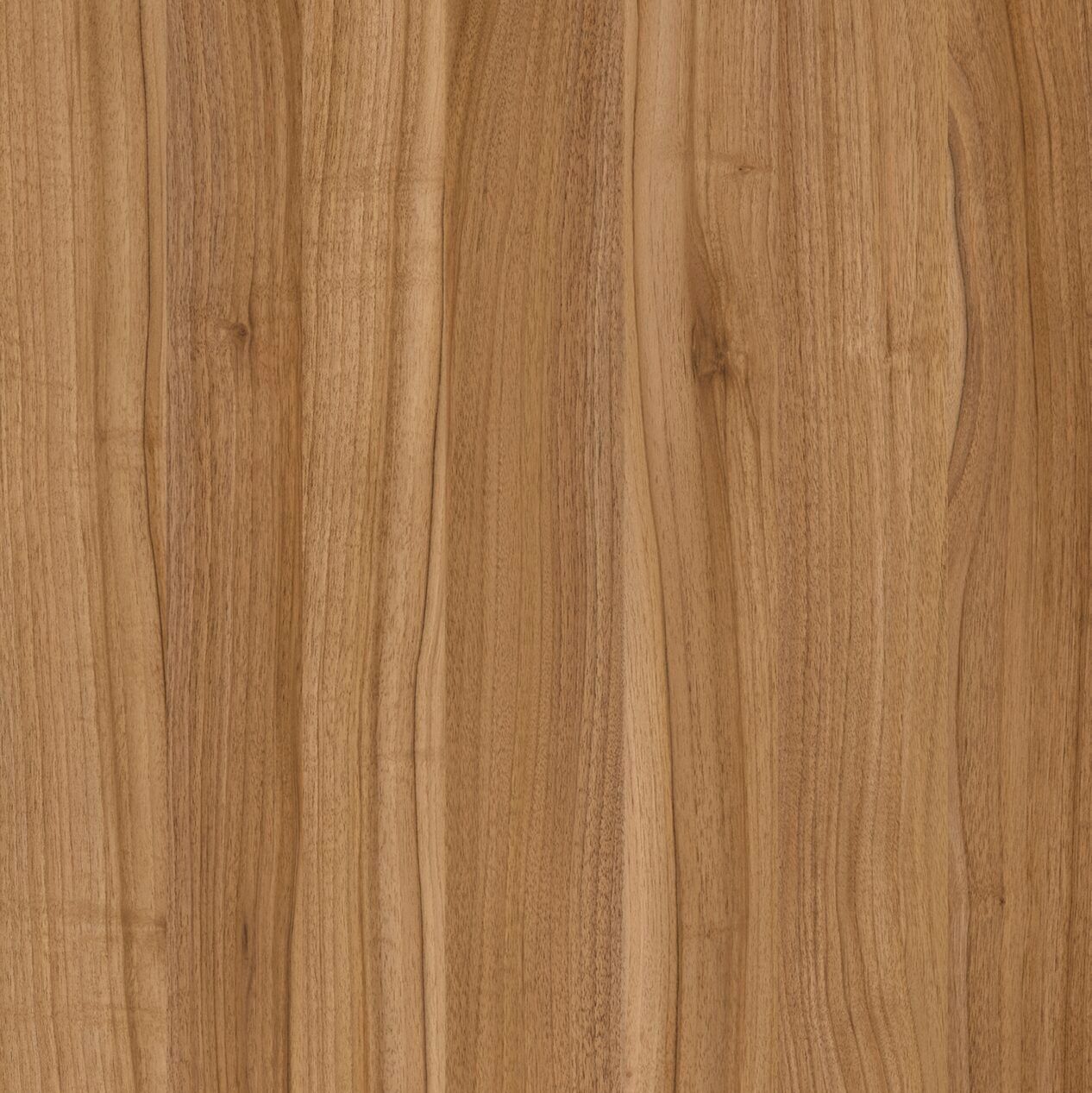 Un primer plano de un trozo de madera que muestra la veta de la madera.