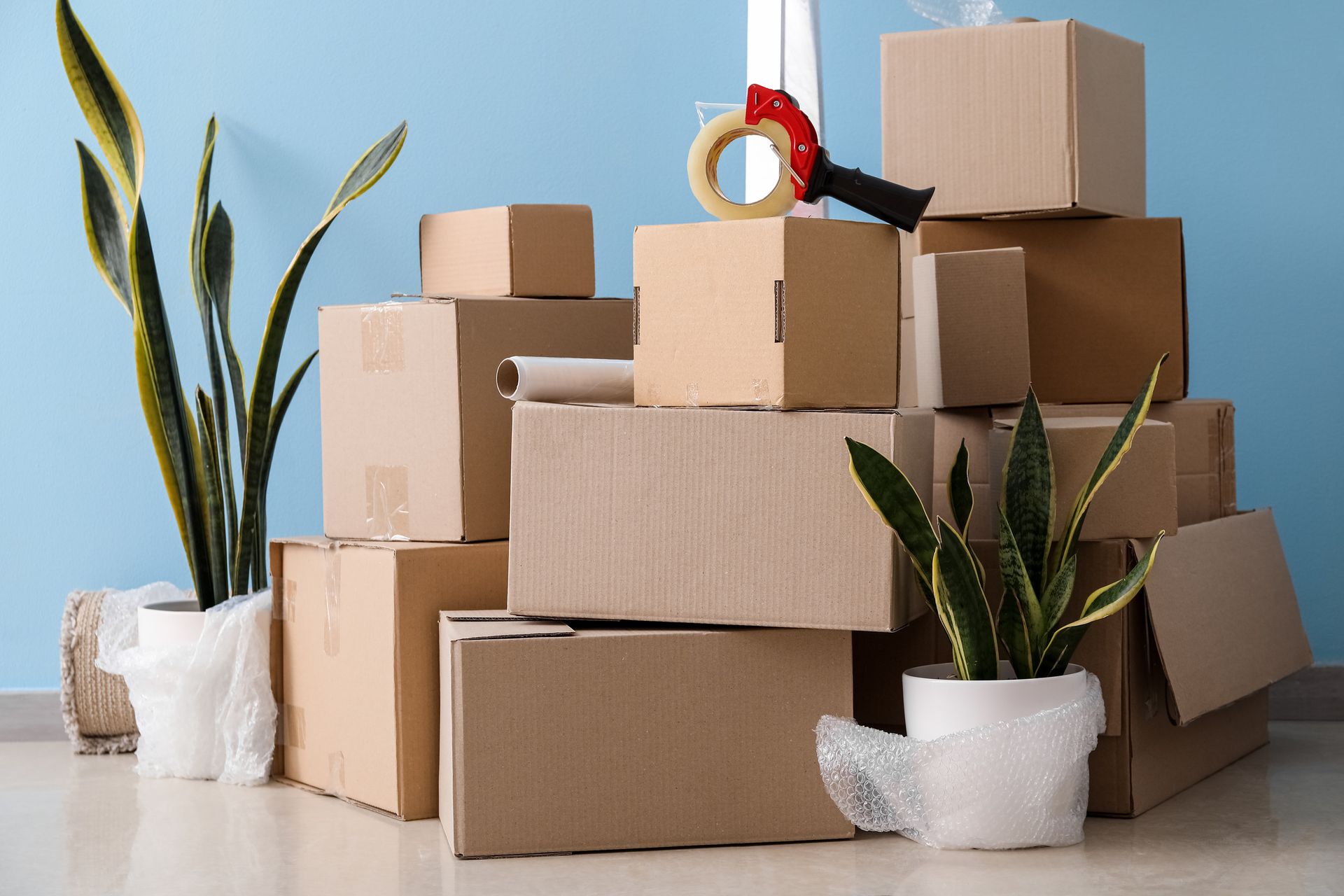 Una pila de cajas de cartón colocadas una encima de otra al lado de plantas en macetas.