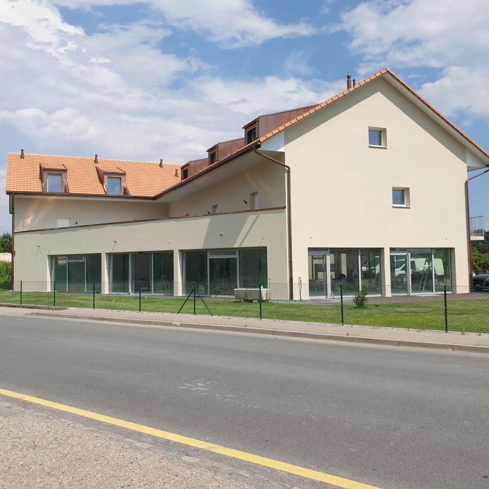 Une grande maison avec beaucoup de fenêtres et un toit en tuiles