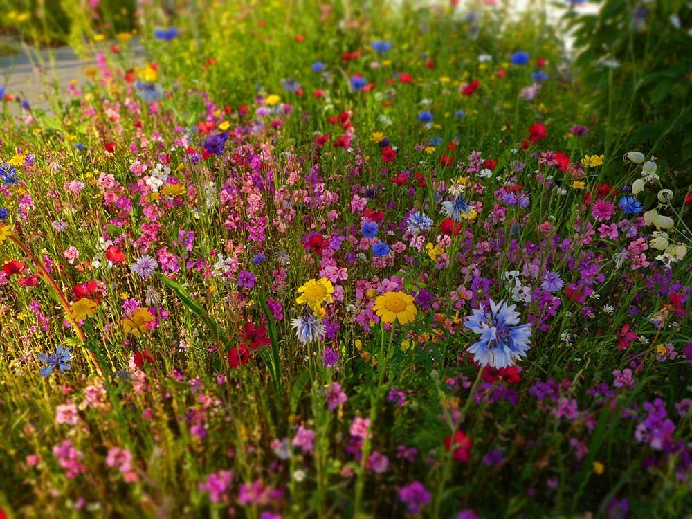 Rundblick in Uttenreuth in Uttenreuth | traditionelles und familiäres Ambiente, fränkischen Gastfreundschaft. Seit 1989 kümmern wir uns mit Herz, Tat und Verstand um das leibliche Wohl unserer Gäste. Veranstaltungen und Feiern, Festsaal und Nebenzimmer. Catering- und Partyservice, Kühlanhänger