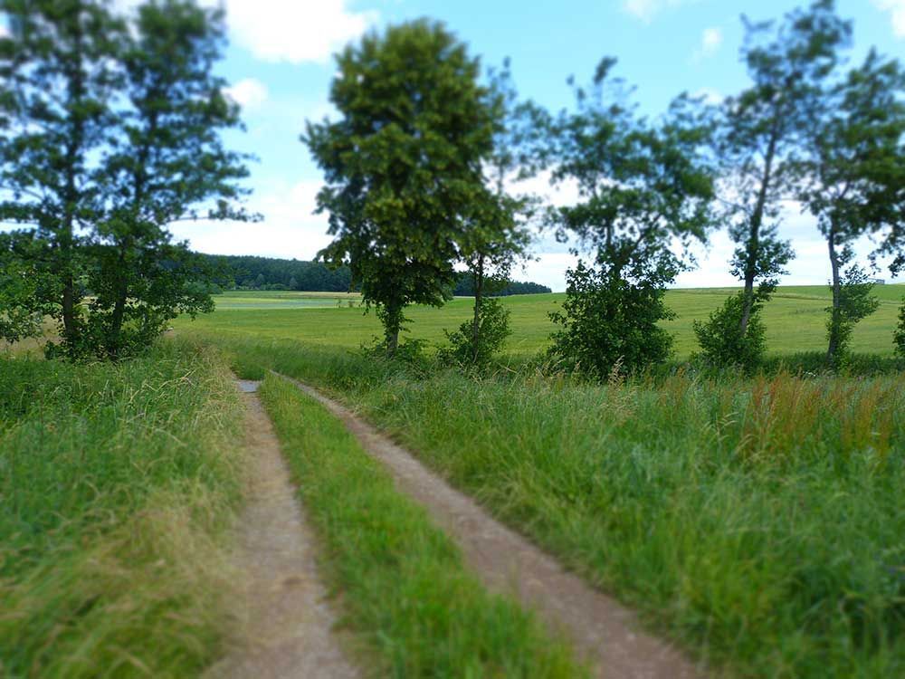 Rundblick in Uttenreuth in Uttenreuth | traditionelles und familiäres Ambiente, fränkischen Gastfreundschaft. Seit 1989 kümmern wir uns mit Herz, Tat und Verstand um das leibliche Wohl unserer Gäste. Veranstaltungen und Feiern, Festsaal und Nebenzimmer. Catering- und Partyservice, Kühlanhänger