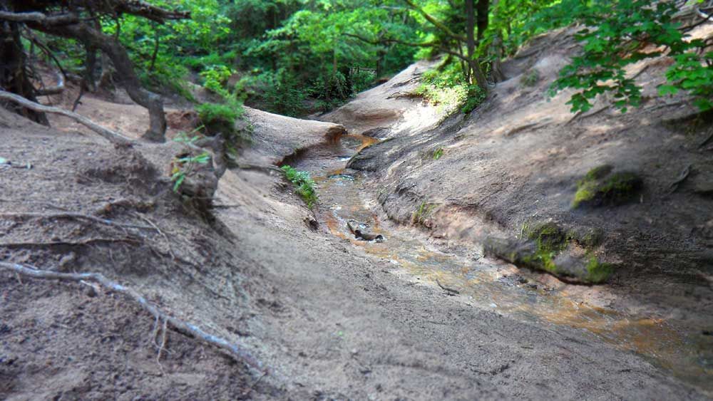 Rundblick in Uttenreuth in Uttenreuth | traditionelles und familiäres Ambiente, fränkischen Gastfreundschaft. Seit 1989 kümmern wir uns mit Herz, Tat und Verstand um das leibliche Wohl unserer Gäste. Veranstaltungen und Feiern, Festsaal und Nebenzimmer. Catering- und Partyservice, Kühlanhänger