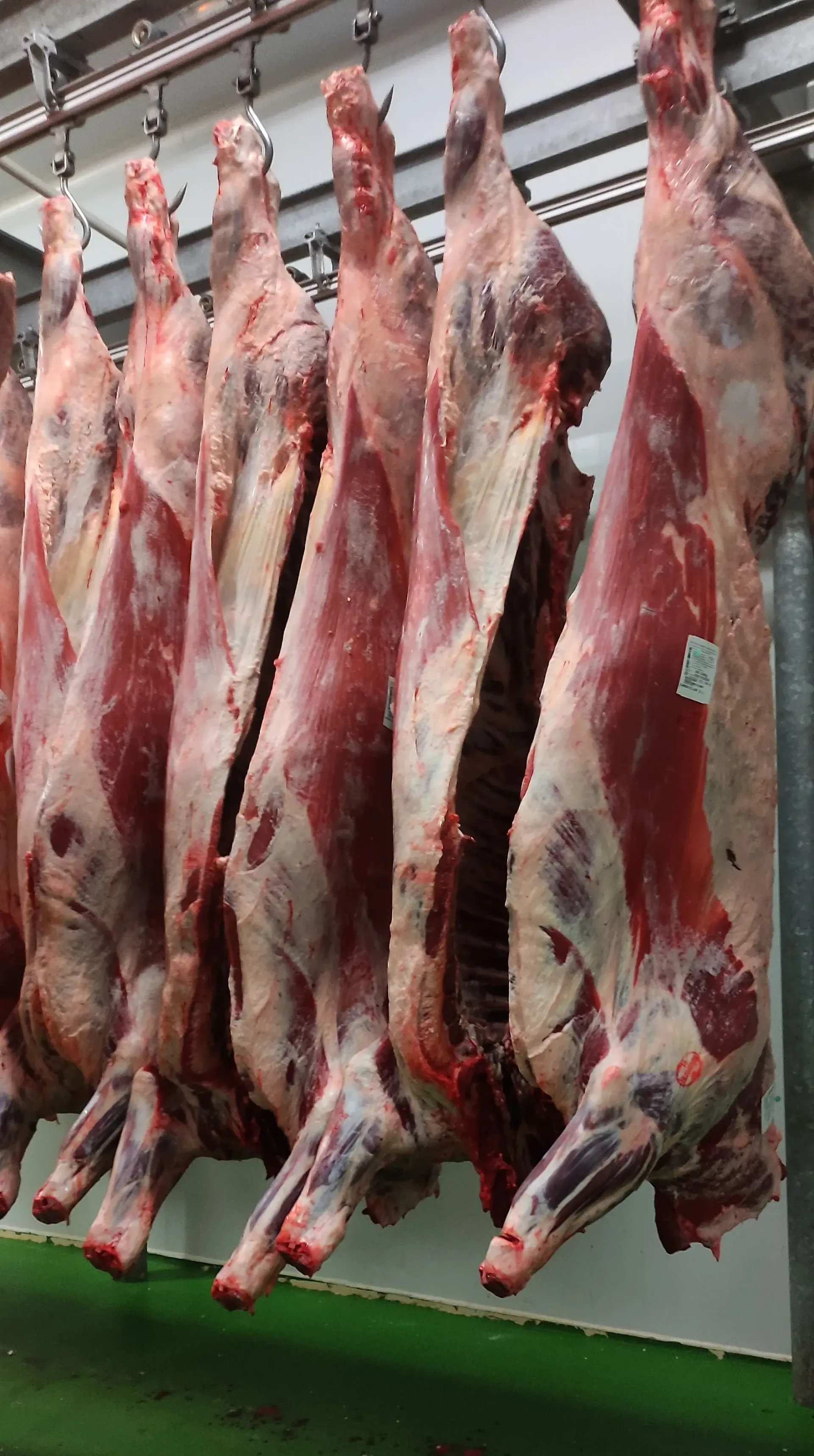 Un montón de carne colgando de ganchos en una habitación.