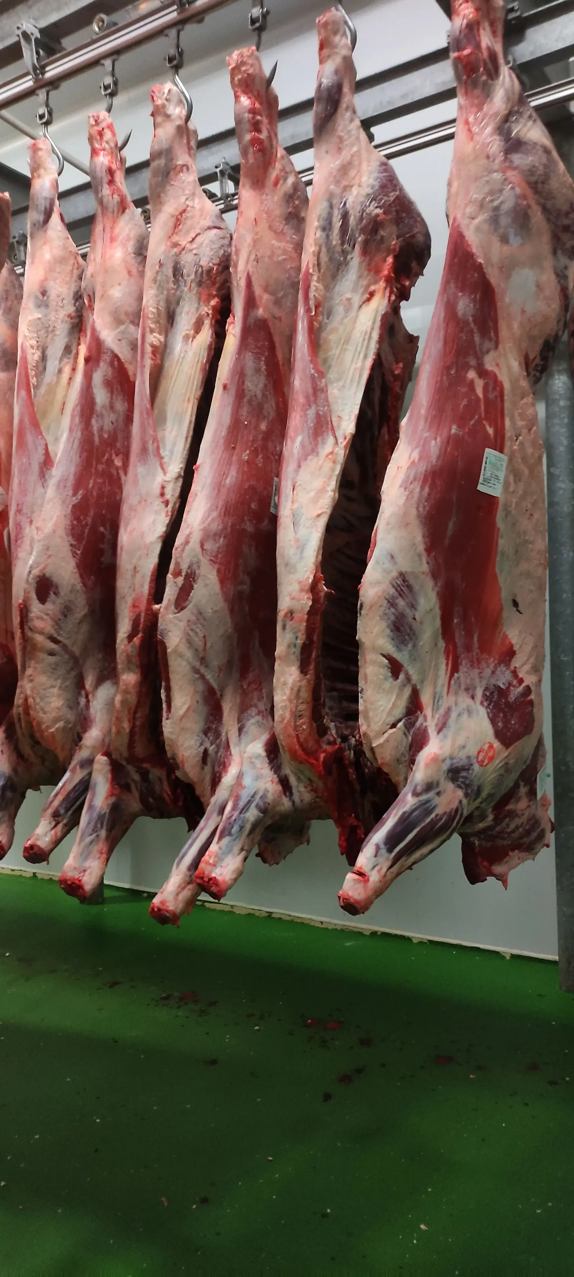 Un montón de carne colgando de ganchos en una habitación.