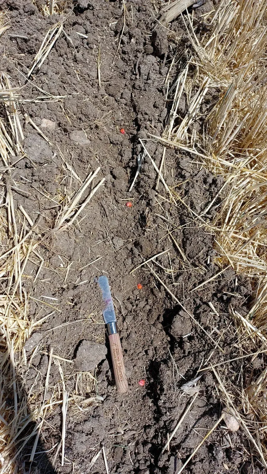 Una pala está colocada en la tierra al lado de un montón de heno.