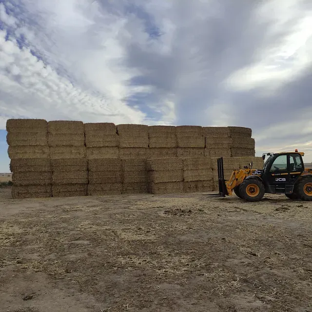 Una carretilla elevadora transporta fardos de heno en un campo.
