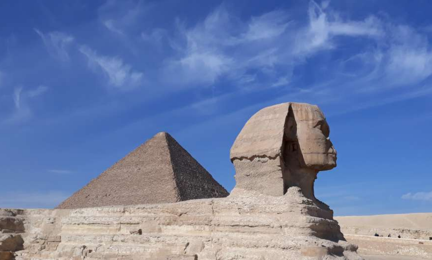 Las ruinas de un antiguo edificio están rodeadas de césped y árboles.