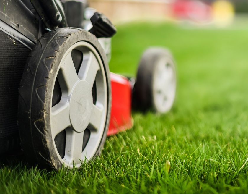 Terrasse en bois gris avec muret en pierre, poteaux en bambou, petite cascade et végétation luxuriante.