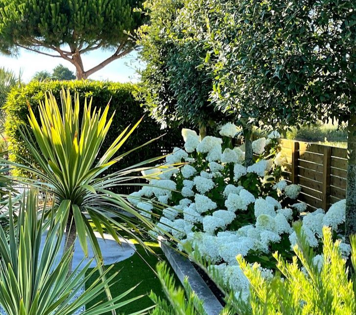 Maison blanche avec jardin et mur de pierre. Scène extérieure ensoleillée avec des fleurs jaunes.
