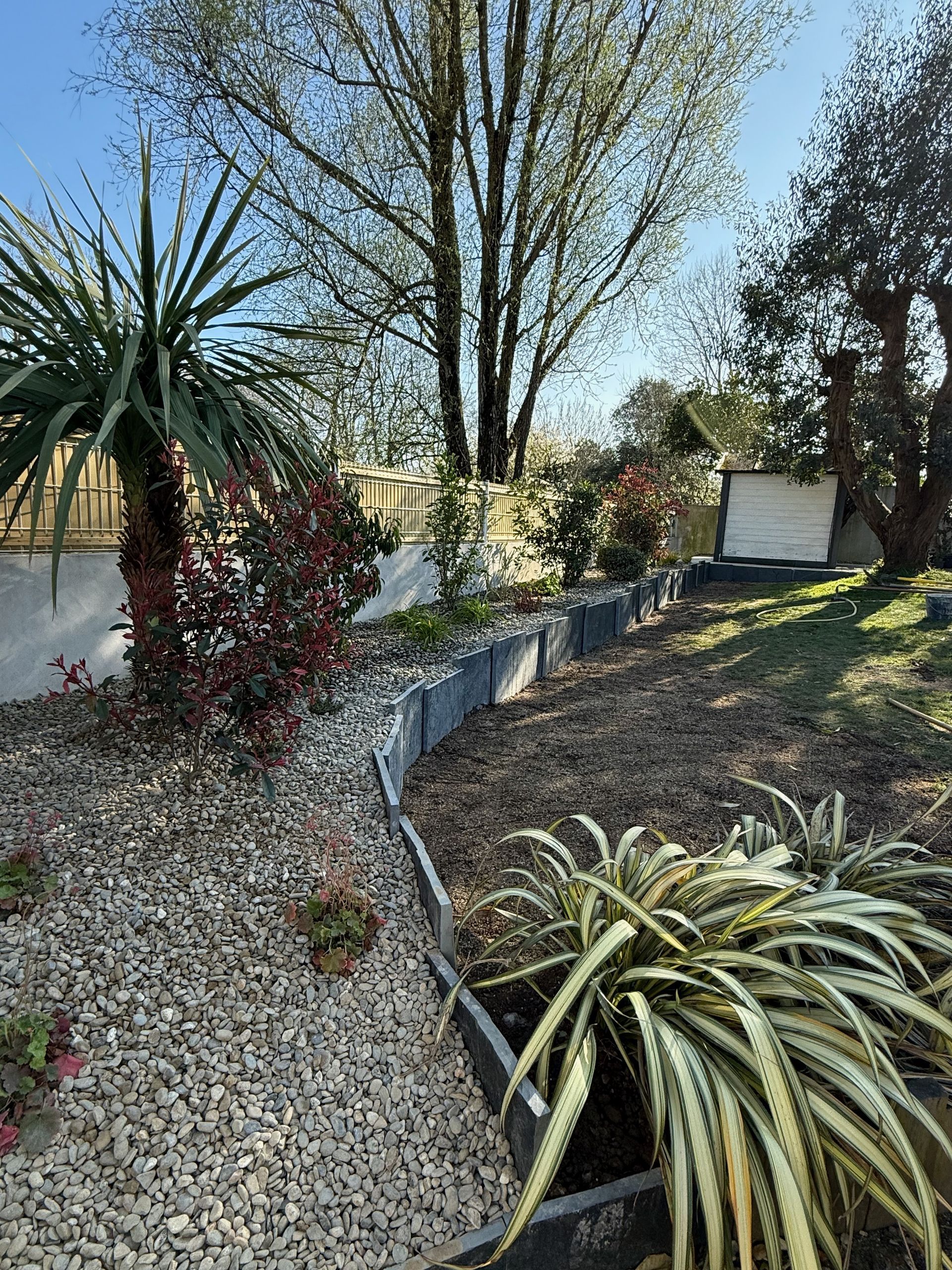 Parterre de jardin avec paillis de pierres et plantes, bordé d'une frise grise, sous un ciel ensoleillé.