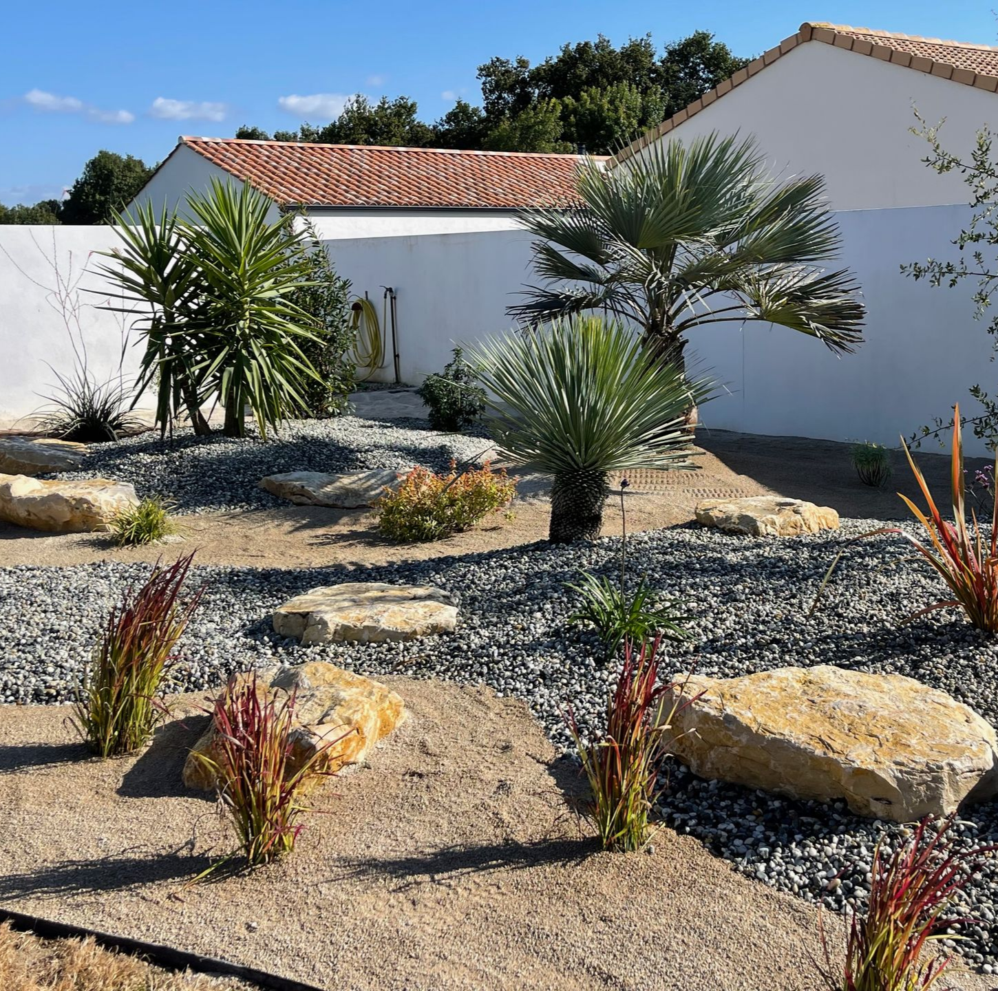 Un jardin xérophile avec des roches, du sable, des rochers et diverses plantes résistantes à la sécheresse, dont des palmiers.