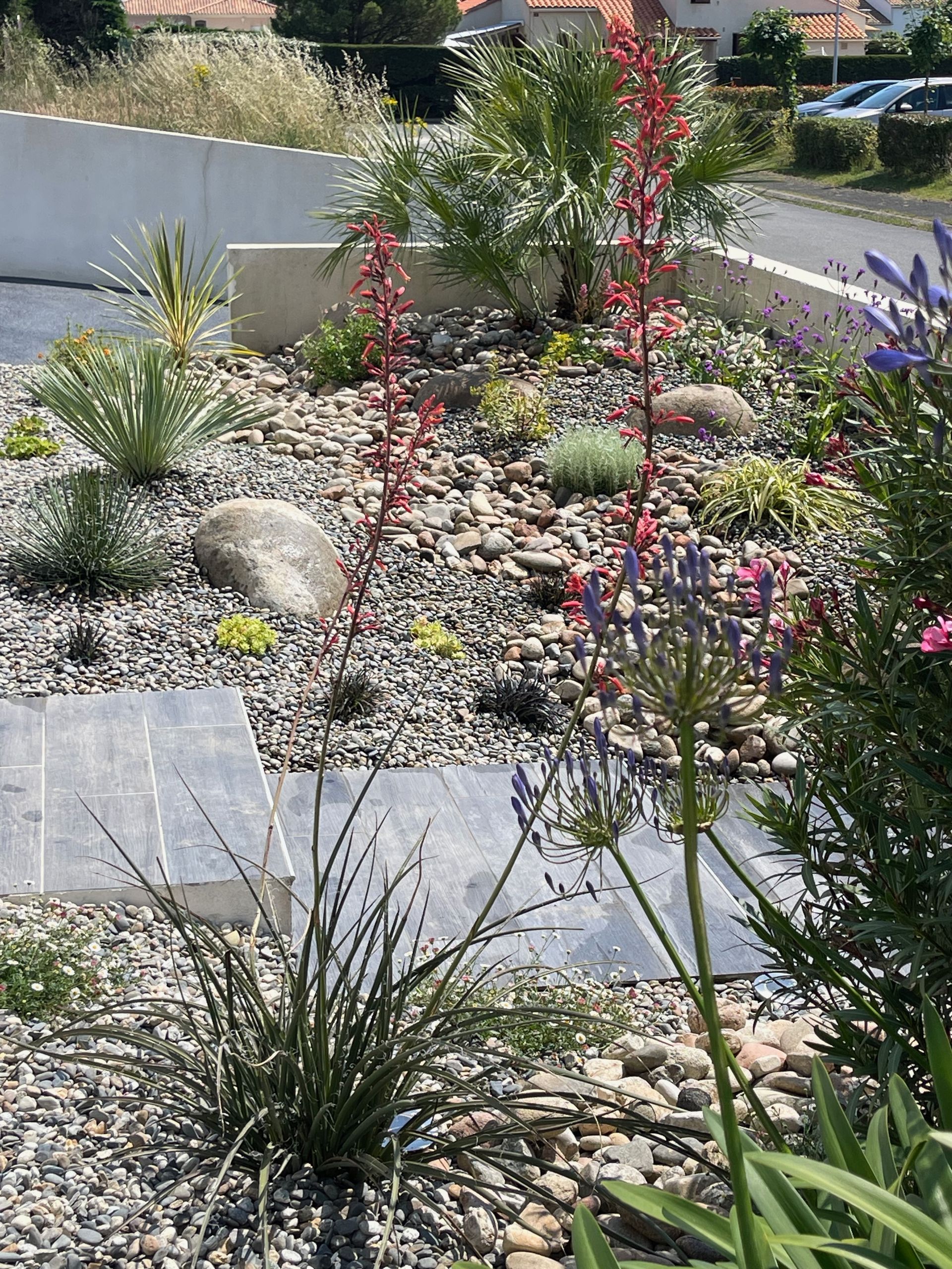 Massif de jardin avec diverses plantes, des rochers et des fleurs rouges et violettes. Chemin de pierres grises au premier plan.