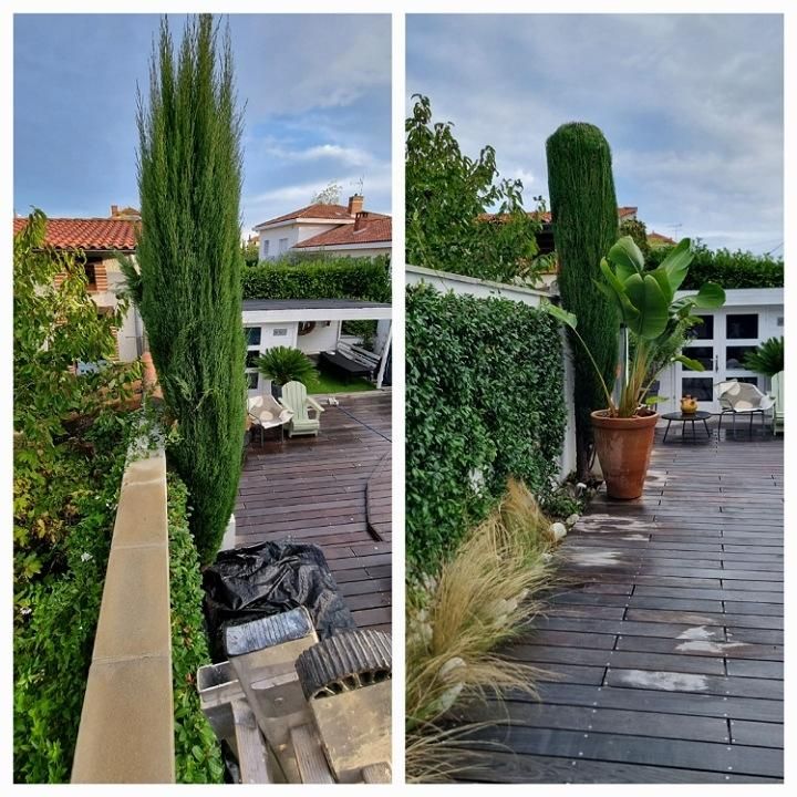 Deux photos verticales l'une contre l'autre : une montre un arbre avec des branches droites et l'autre montre cet arbre taillé
