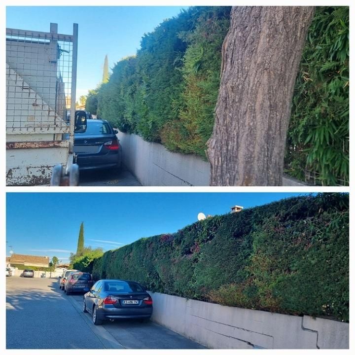 Deux photos horizontales l'une en dessous de l'autre : une montre des haies touffues et l'autre montre des haies taillées
