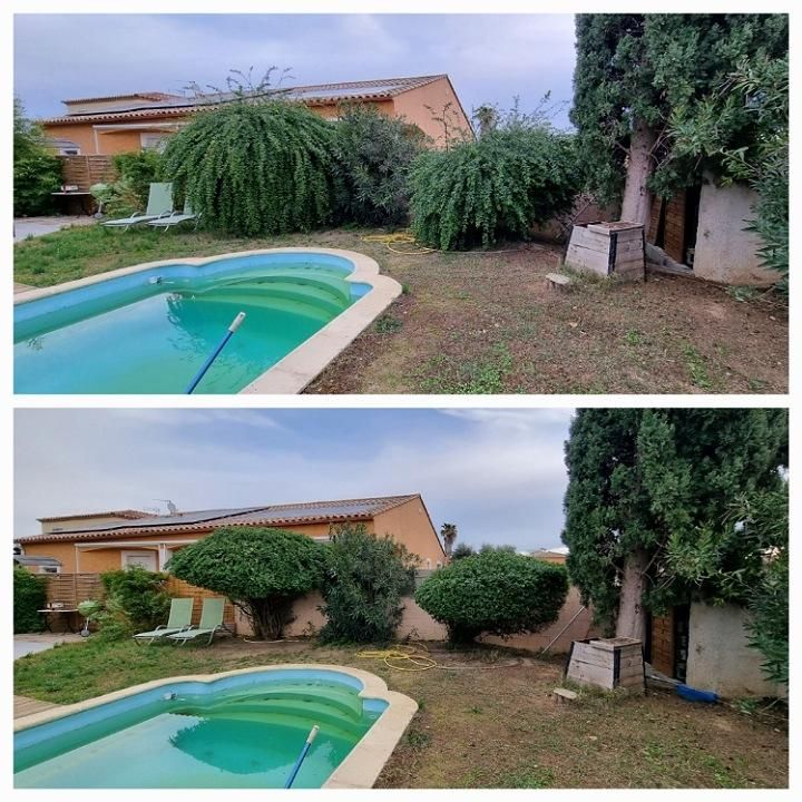 Deux photos horizontales l'une en dessous de l'autre : une montre un jardin avec piscine avec des arbres touffus et l'autre montre ce même jardin avec les arbres taillés