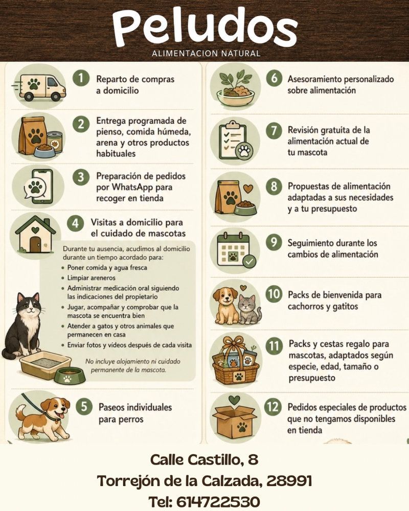 Flyer de Peludos con 12 servicios para mascotas y foto de un perro y un gato sobre fondo beige.