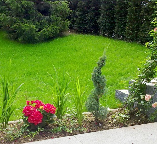 Ferizi Gartenarbeiten GmbH