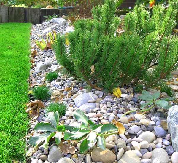 Ferizi Gartenarbeiten GmbH