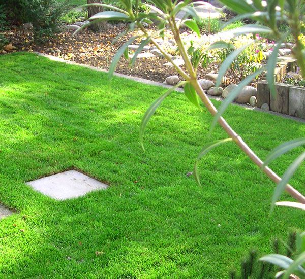 Ferizi Gartenarbeiten GmbH