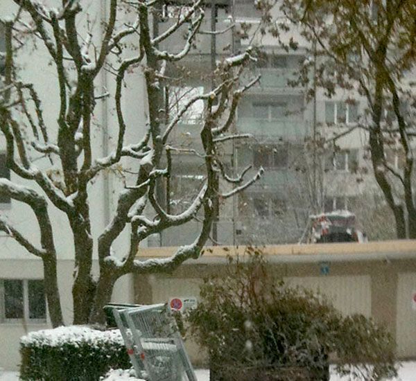 Ferizi Gartenarbeiten GmbH