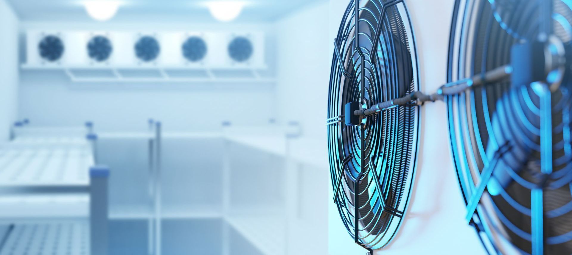 Une chambre froide avec des blocs de refroidissement en premier plan