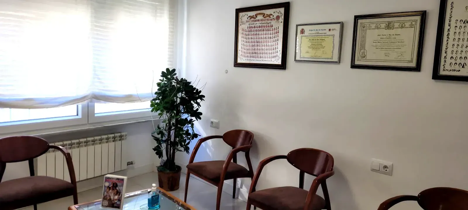 Sala de espera con sillas, una ventana, diplomas en la pared y una planta.