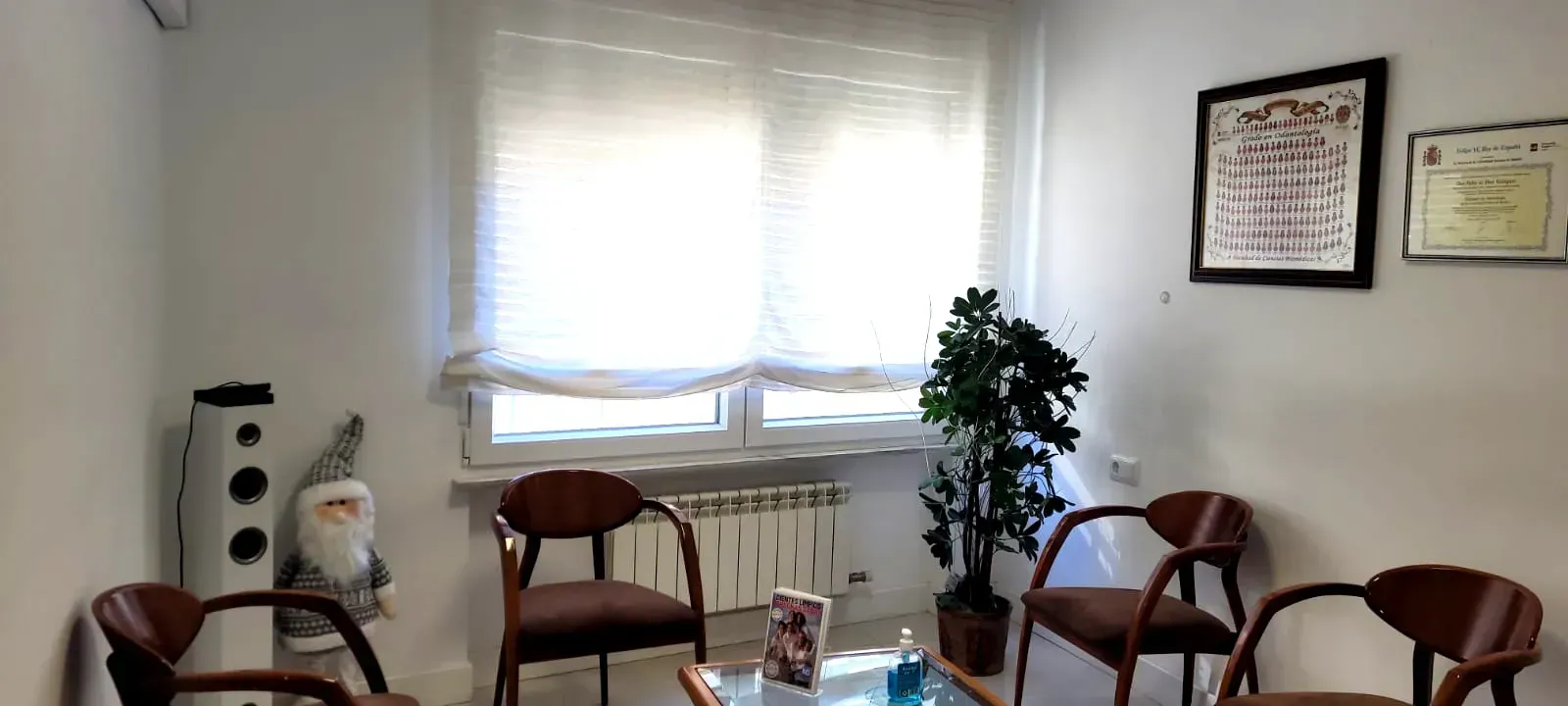 Una sala de espera con sillas marrones, una ventana, una planta y documentos enmarcados en la pared.