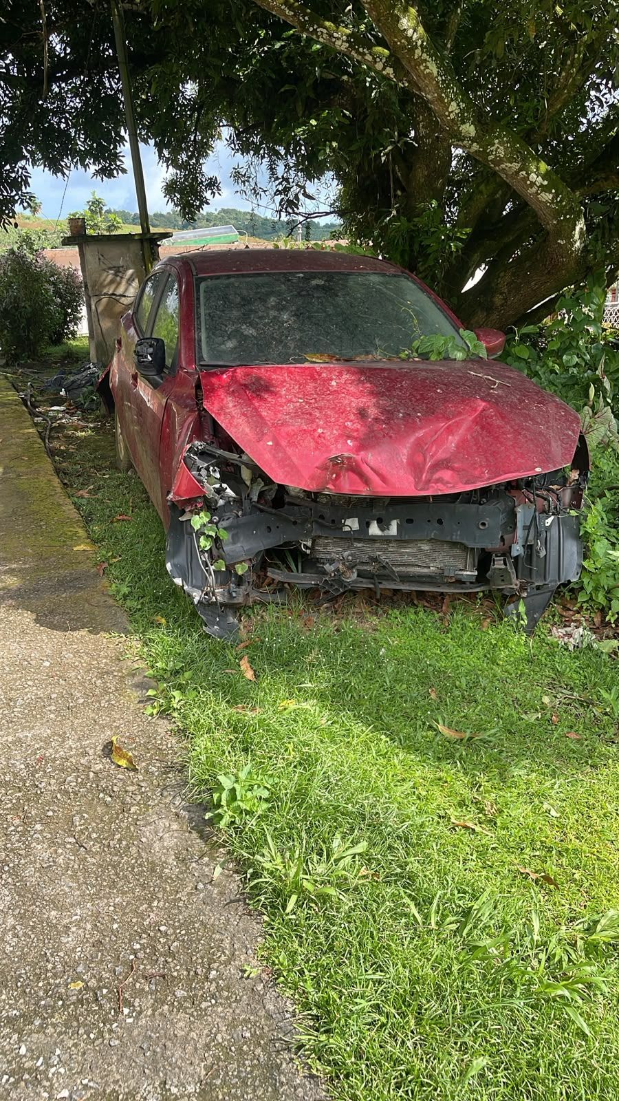 Voiture rouge endommagée garée sur l'herbe, en bordure de trottoir, sous un arbre