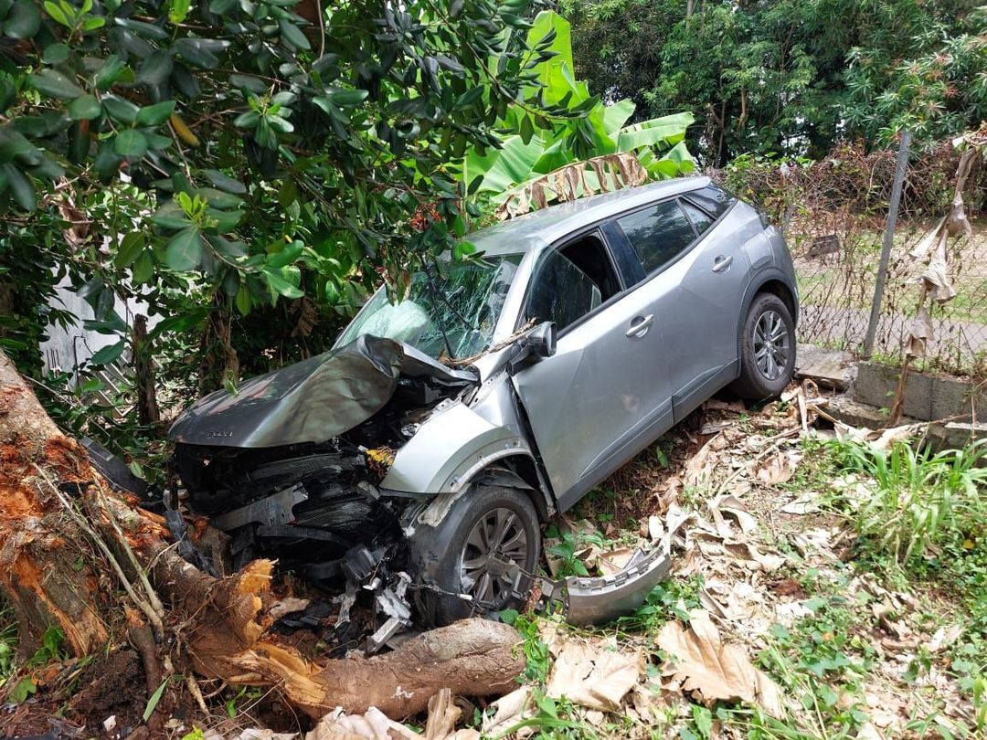 Une voiture argentée, fortement endommagée à l'avant, a percuté un arbre sur une pente boisée.