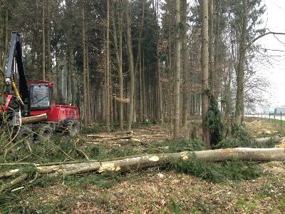 Forstbetrieb Wasseramt AG