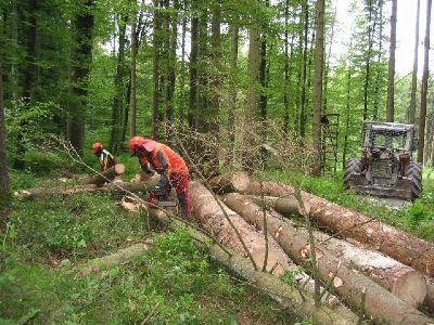 Forstbetrieb Wasseramt AG