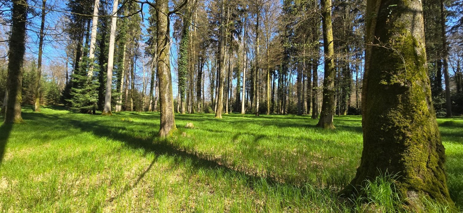 Forstbetrieb Wasseramt AG