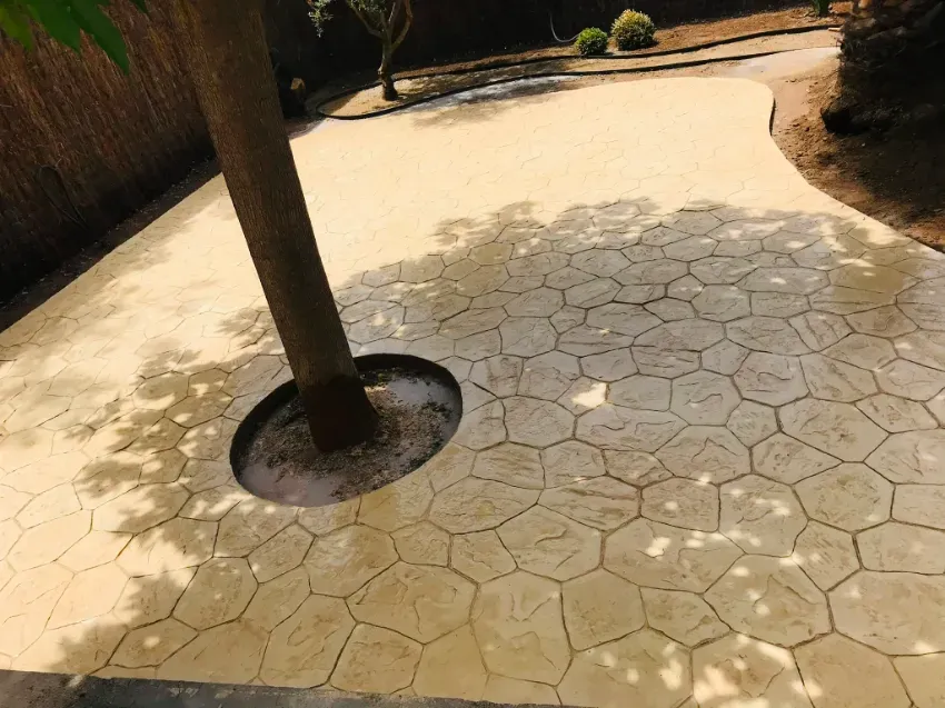 Sendero hexagonal de piedra alrededor de un árbol en una zona ajardinada exterior arenosa.