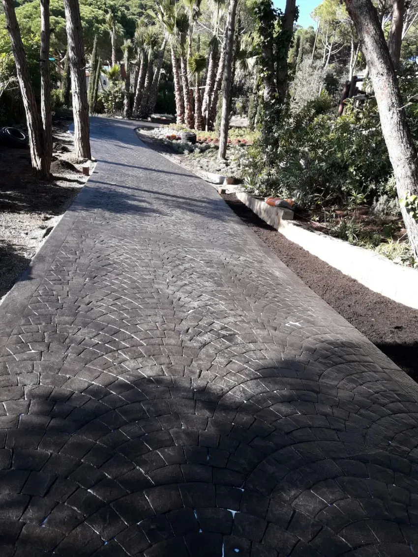 Sendero pavimentado bordeado de árboles con luz solar y sombras moteadas en un parque.