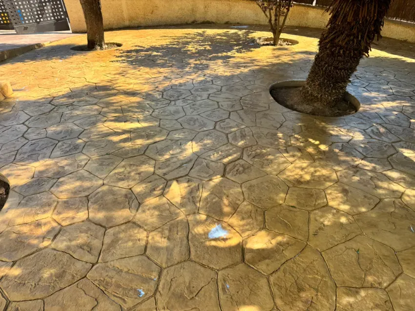 Sendero de piedra iluminado por el sol con troncos de árboles y sombras moteadas cerca de la entrada de un edificio.