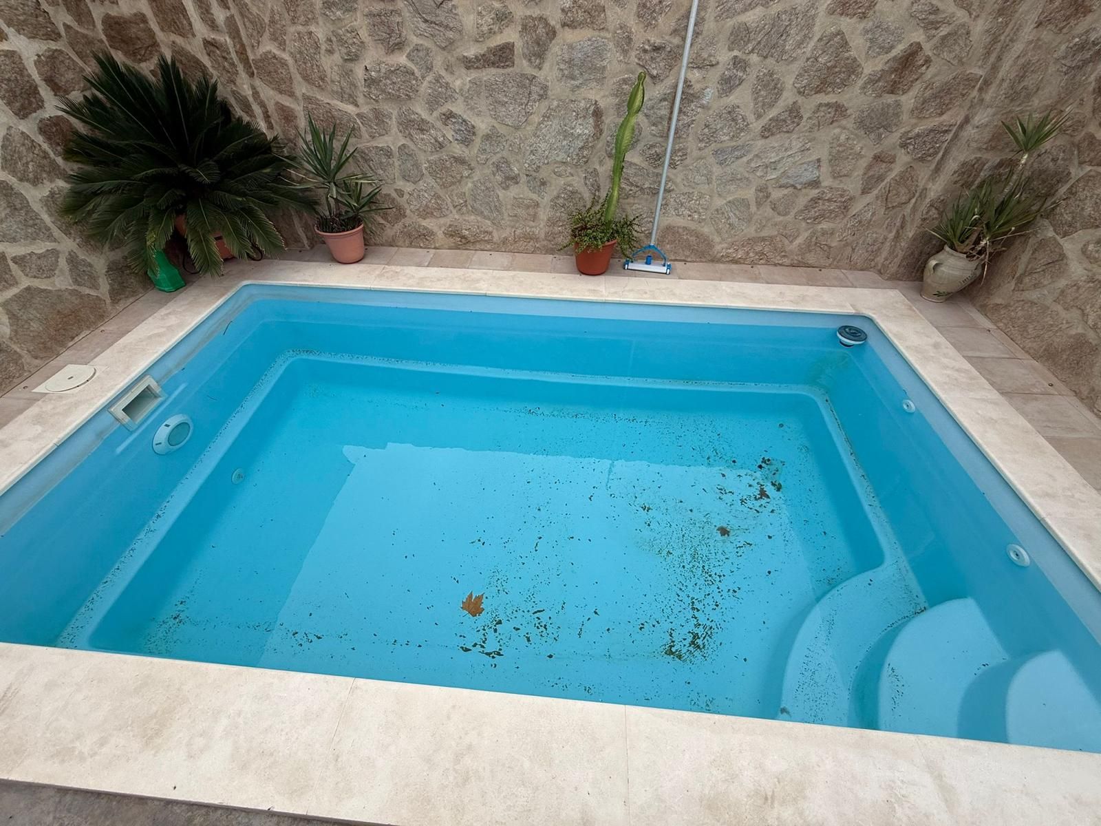 Una pequeña piscina azul junto a un muro de piedra, con algunas hojas flotando en el agua.