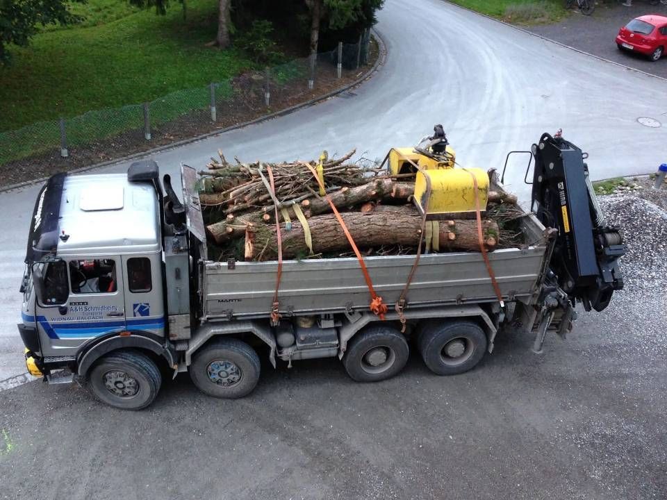 Ein grauer Muldenkipper, beladen mit geschnittenen Ästen und Baumstämmen, steht auf einer kurvigen Strasse neben einer Wiese.