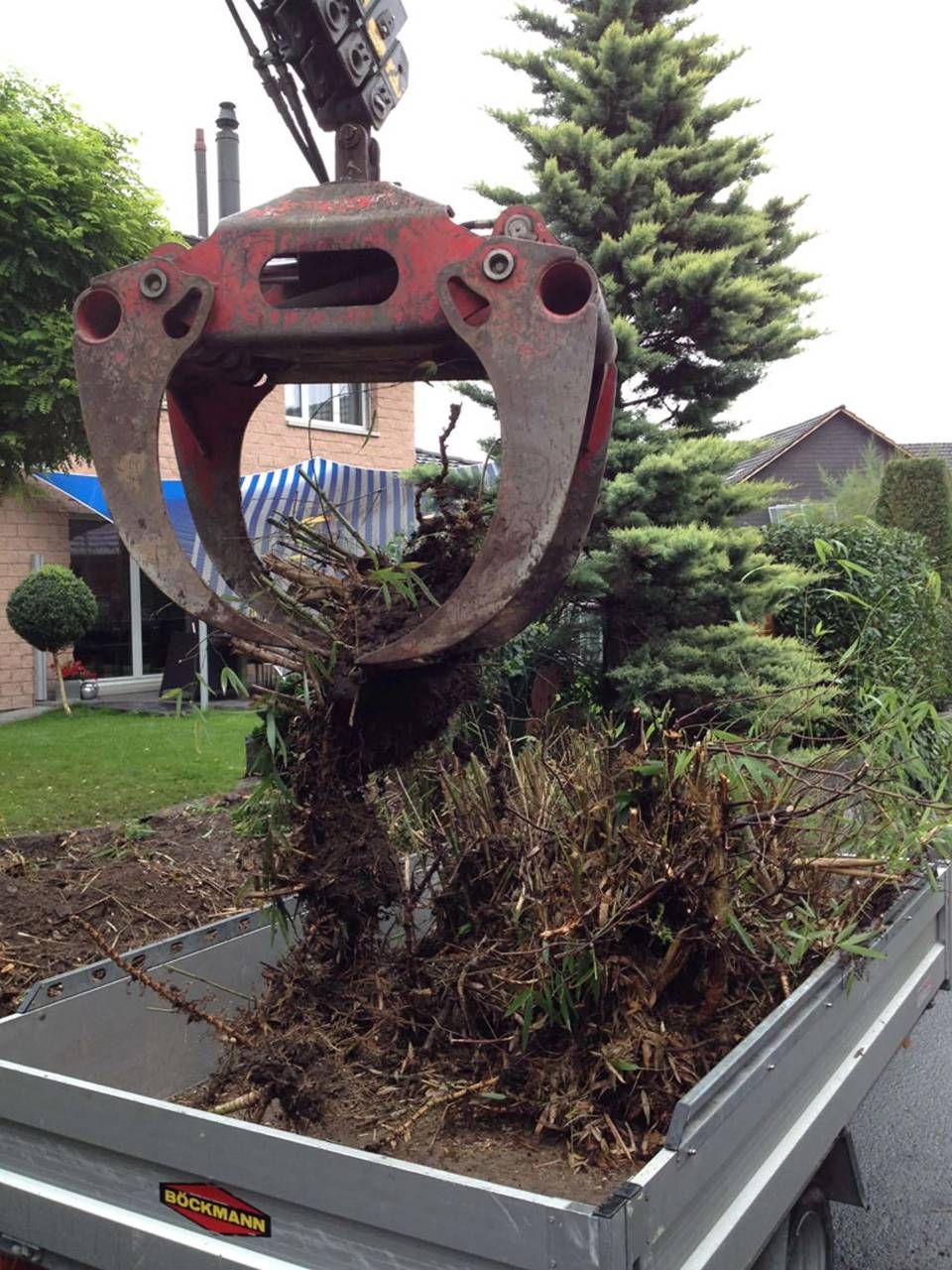 Ein Baggerarm hebt einen grossen Baumstumpf in einen Anhänger in einem Vorstadtgarten.