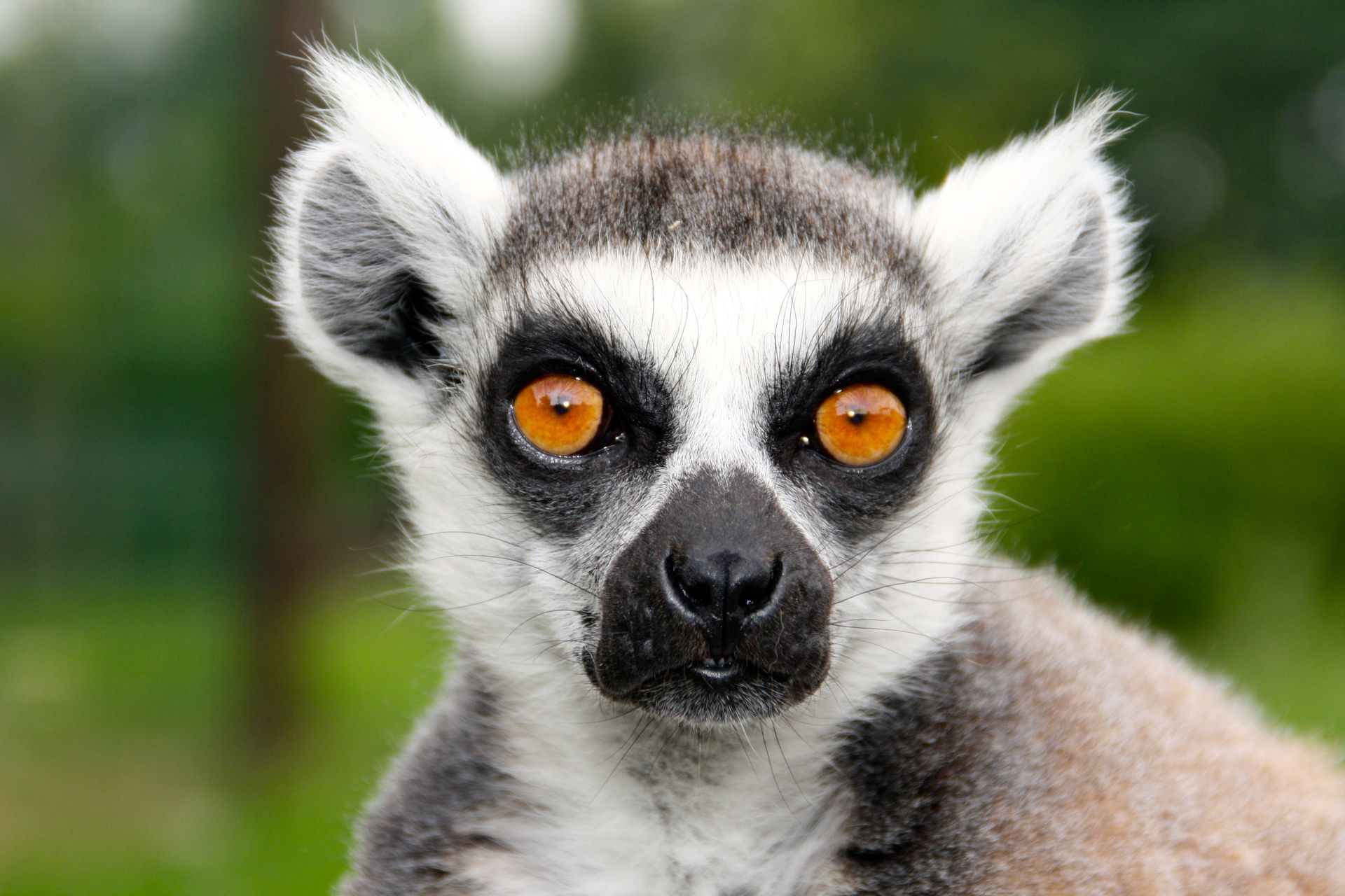Tier- und Freizeitpark Thüle